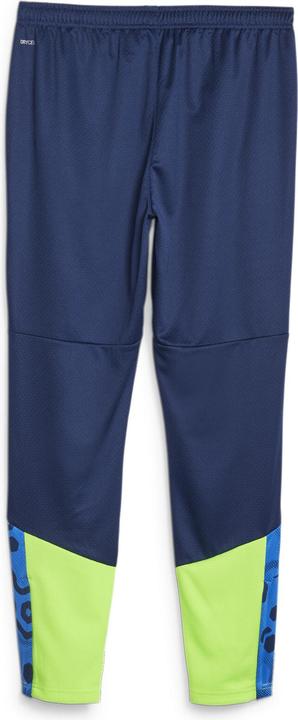 Actual product image Puma individualCUP Training Pants (M)