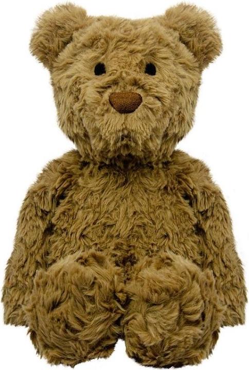 Wild Planet Bear