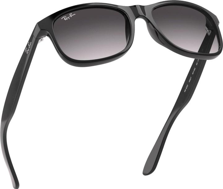 Produktbild Ray Ban Rb4202