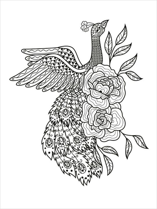 Actual product image My Mandala Animal Colouring Book