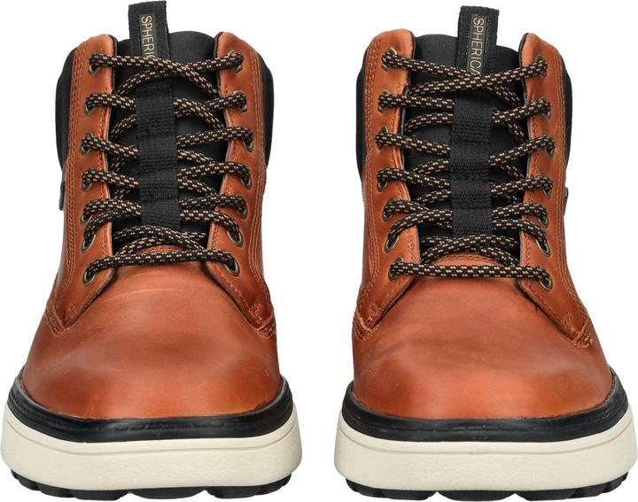 Actual product image Geox Stiefelette (40)