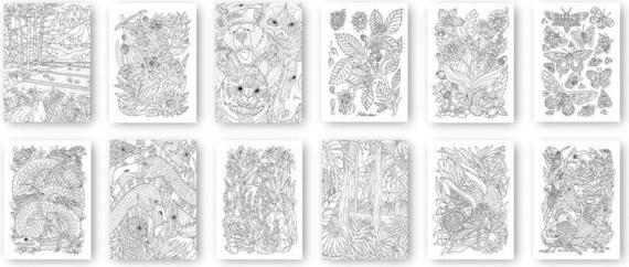 Produktbild Caran d'Ache Esprit des Forets Postkarten (12 Stk.)