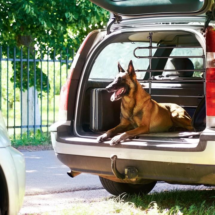 Image du produit Relaxdays Grillage pour chiens en voiture, protection (Chien, Réflecteurs, Ouverture complète)