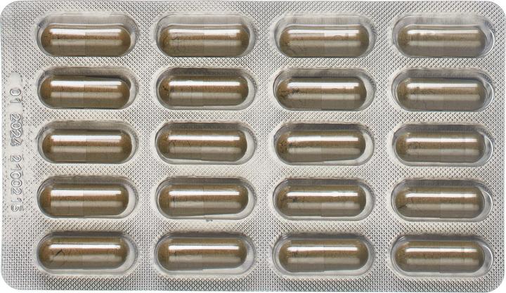 Actual product image Dr. Dünner PhytoWorld (40 Piece, Capsules, 46 g)