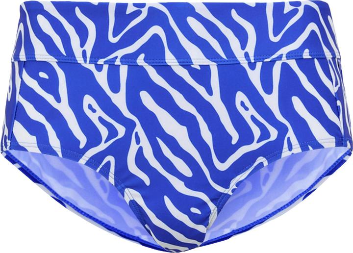 Actual product image Regatta Womens/Ladies Paloma Abstract Swim Briefs (40)