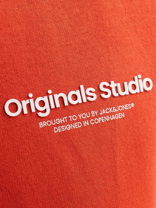 Produktbild Jack & Jones Gedruckt Kapuzenpullover mit Reissverschluss Kapuzenjacke (S)