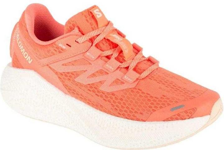 Produktbild Salomon Aero Glide 3 Sneaker (41)