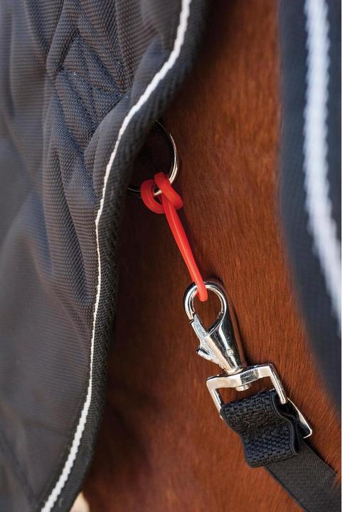 Image du produit Horse Guard Boucle pour sangle équitation