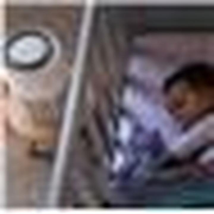 Actual product image Philips PureProtect Mini 900 Series (65 m²)