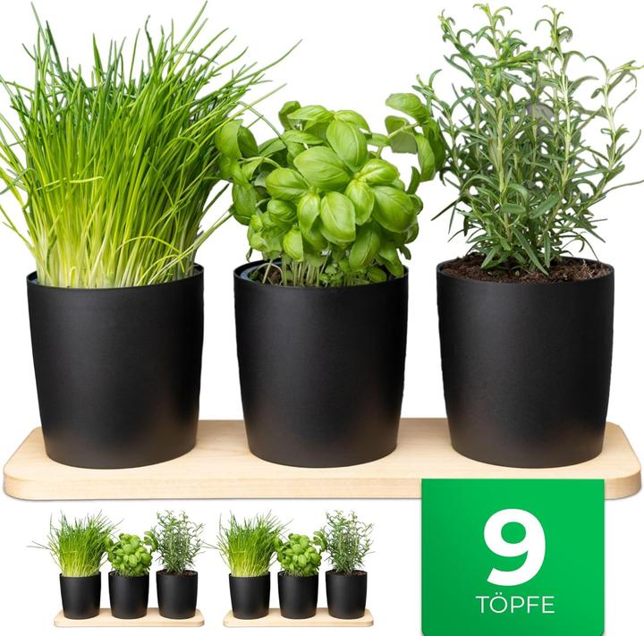 Actual product image Novaliv Stilvolle Kräuterstation 9er Set mit Holzunterlage - Kräutertopf für jede Fensterbank, Für f (43.50 x 14 x 14.50 cm)