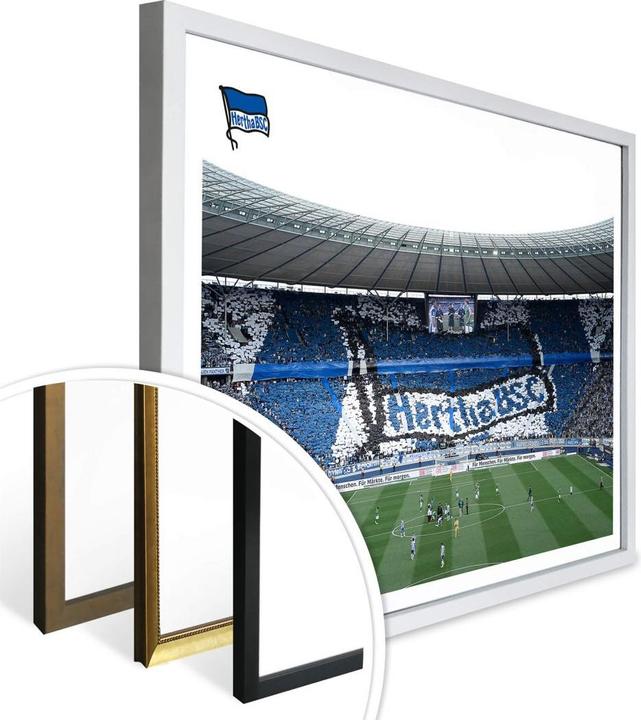 Actual product image Hertha BSC Start of the game in the stadium (60 x 50 cm)