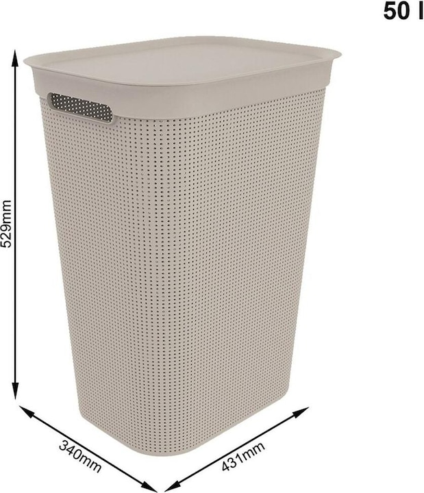 Immagine prodotto Rotho Brisen (50 l)