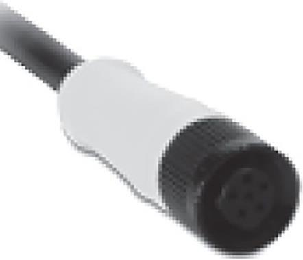 Image du produit Bernstein Cordon