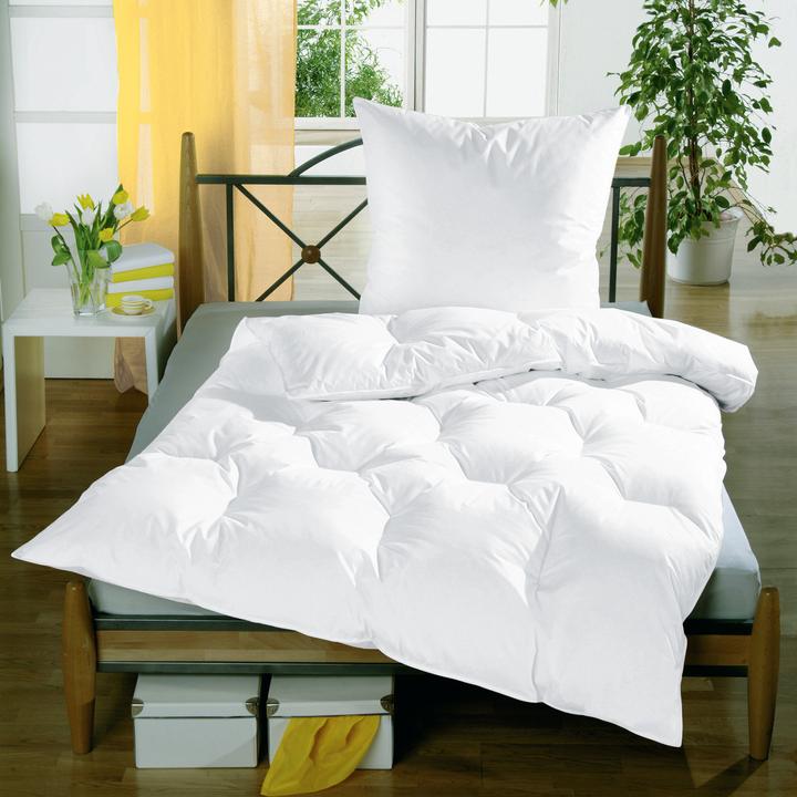 Image du produit Erwin Müller Herrsching (1500 g, Duvet, 200 x 200 cm)