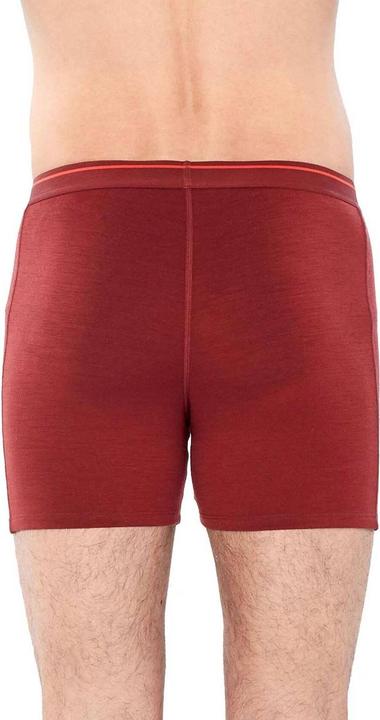 Image du produit Icebreaker Anatomica Boxer (XL)
