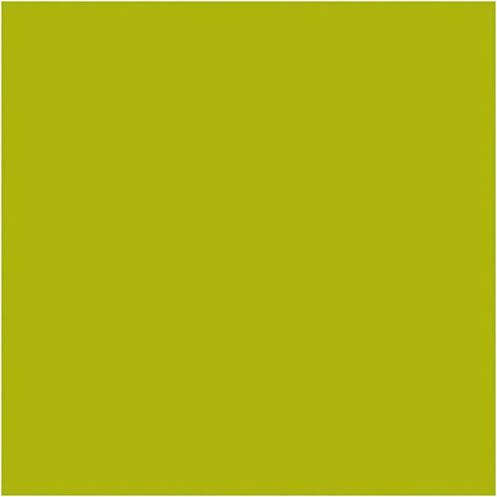 Image du produit Creativ Company Peinture acrylique pailletée pour enfants - Vert citron, 500 ml (Vert citron vert, 500 ml)