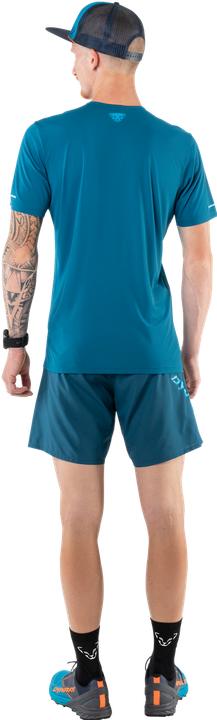 Actual product image Dynafit Alpine Pro 2in1 Shorts (52)