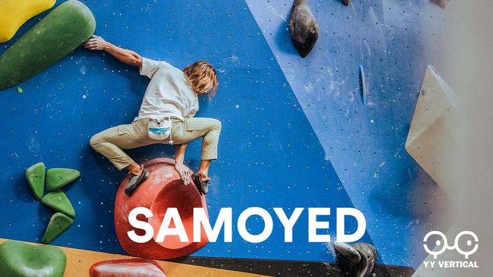 Produktbild YY Vertical Animaux Samoyède