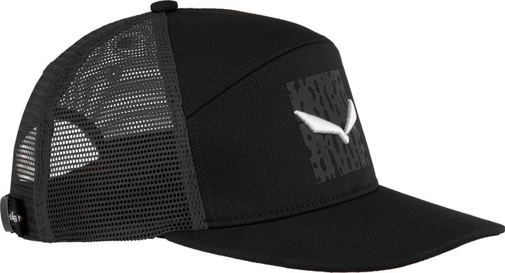 Image du produit Salewa Pure Salamander Logo Cap (58)