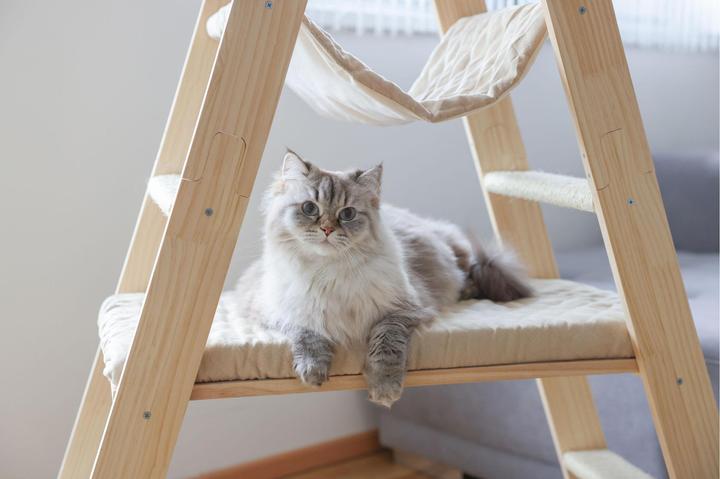 Produktbild Kerbl Kratzbaum Ladder für Katzen (134 cm, Beige, Braun, Wood colour)