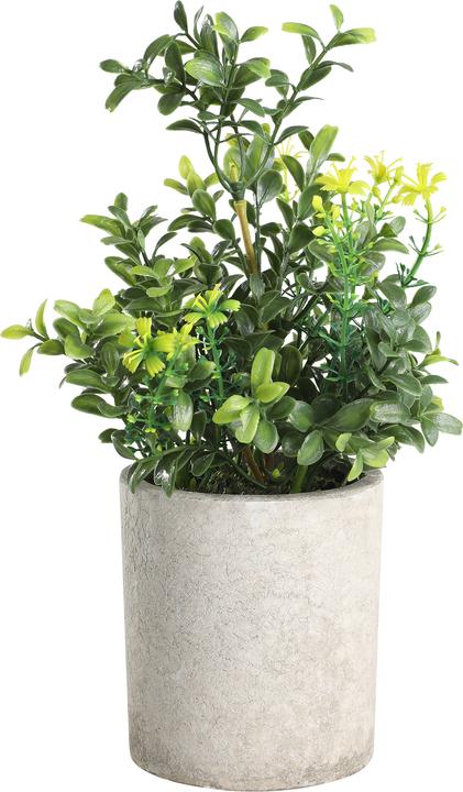 Immagine prodotto EGLO LIVING Chitoso (25 cm)