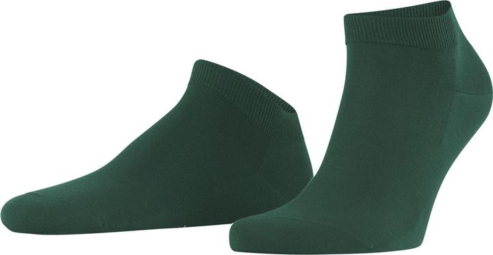 Vert chasseur