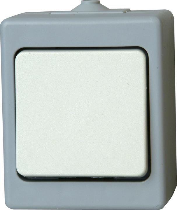 Kopp Feuchtraum-Taster 564348006, grau
