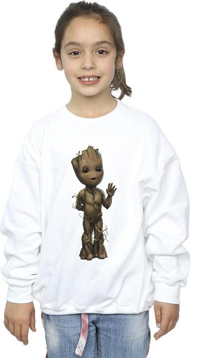 Produktbild I Am Groot Wave Pose Sweatshirt Mädchen (152, 158)