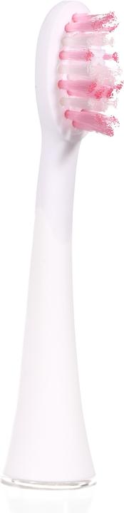 Actual product image Ailoria Shine Bright (12 x)