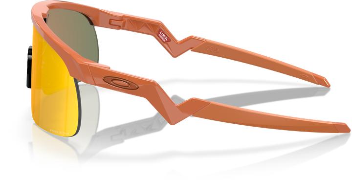 Actual product image Oakley Resistor (Mat Ginger, prizm ruby)