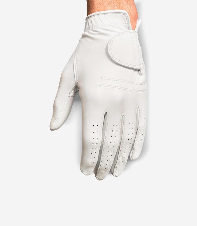 Actual product image Inesis Cabretta (S)