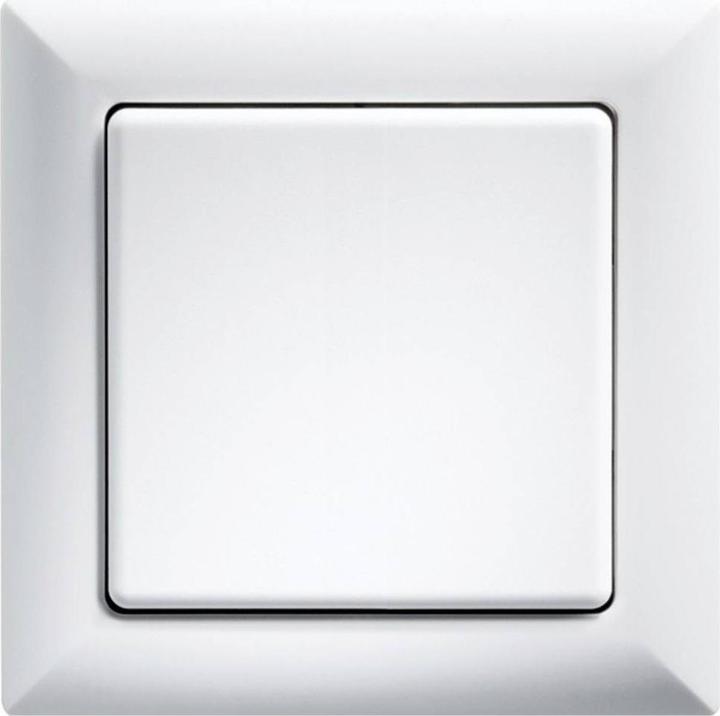 Actual product image Eltako Rocker switch