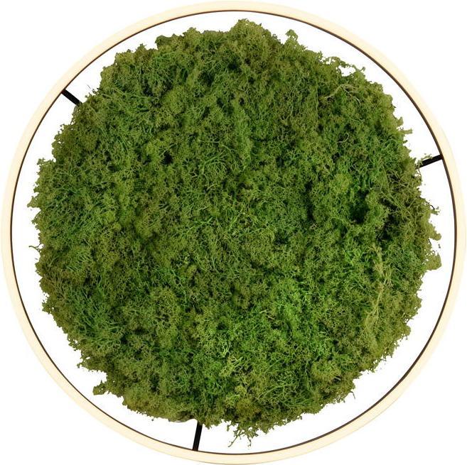 Produktbild Leuchten Direkt Green Ritus (3650 lm)