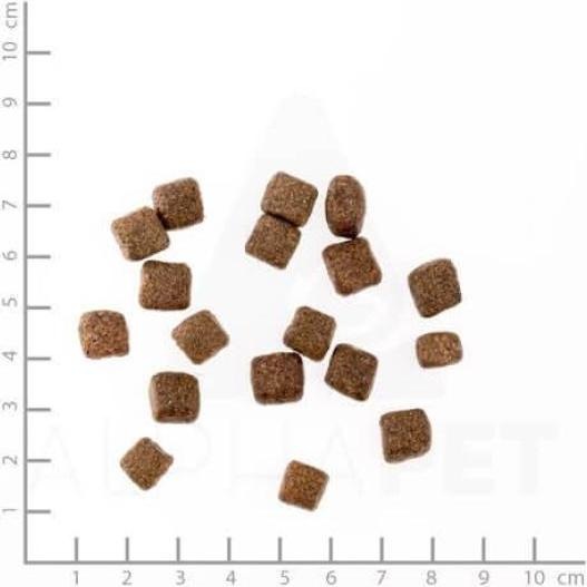 Immagine prodotto Wolfsblut Black Bird Senior (Senior, 1 pz., 2000 g)