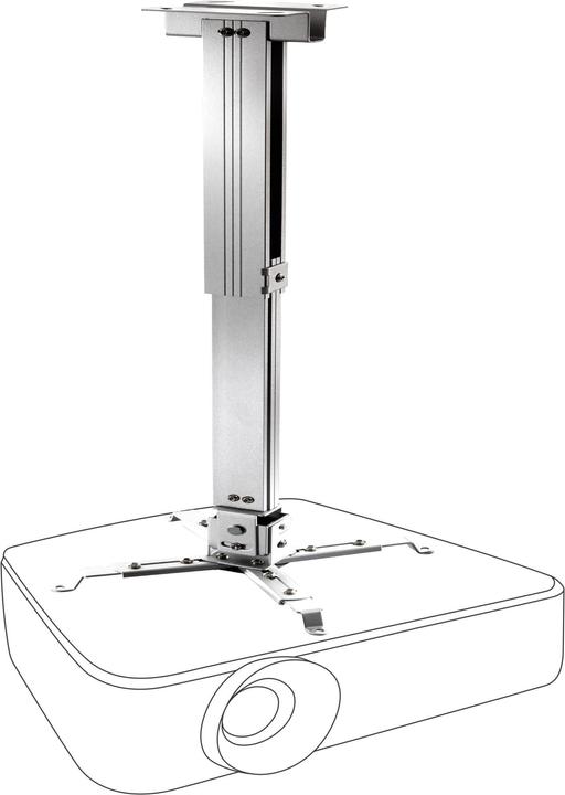Actual product image Celexon MultiCel4070S (Ceiling)