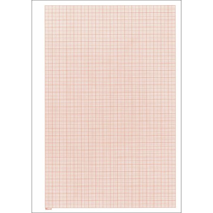 Image du produit Favorit Bloc de papier graphique blanc (A4, Quadrillé, Couverture rigide)