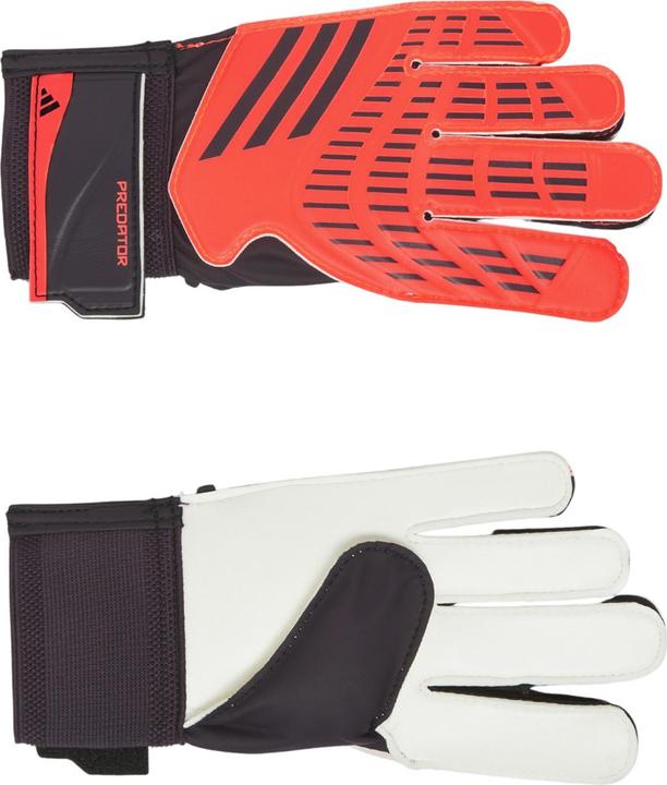 Produktbild Adidas Predator TorhüterHandschuhe Training (7)
