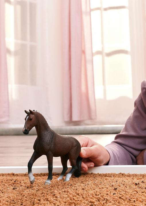 Image du produit Schleich Mustang Hengst