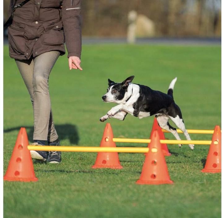 Produktbild Trixie Dog Activity