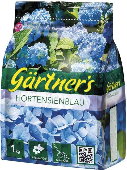 aloe fr die haare 98% Aloe Vera Gel fr Haare & Kopfhaut