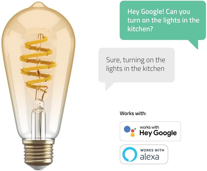 Actual product image Hombli Filament Bulb CCT E27 ST64 (E27, 5.50 W, 300 lm, 1 x, G)
