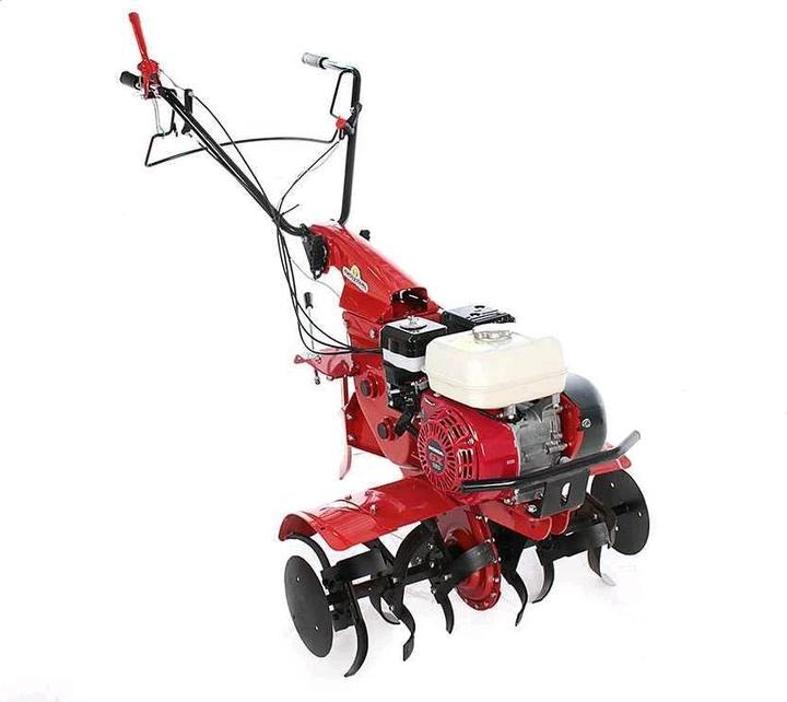 Produktbild Eurosystems Z8 Honda GX 160 OHV Motorhacke mit BenzinmotorGänge 21