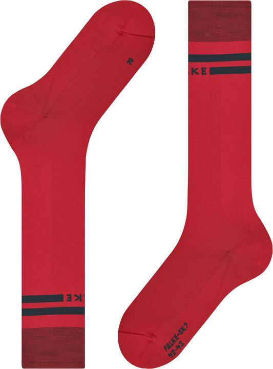 Image du produit Falke SK7 Race Women (35 - 36)
