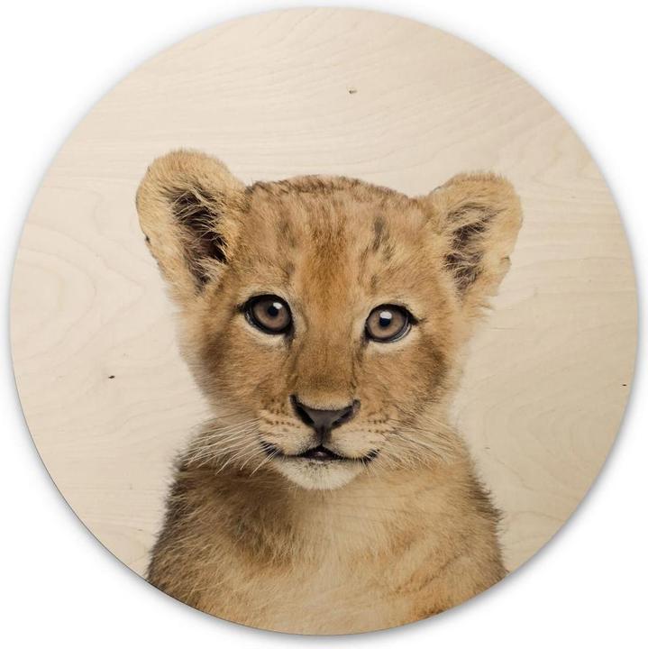 Produktbild Trenddeko Baby Löwe (30 x 30 cm)