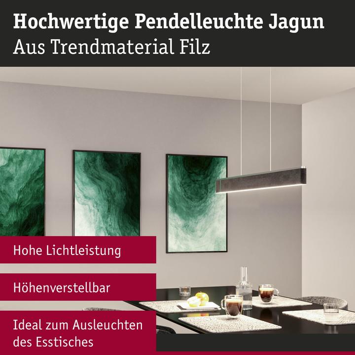 Actual product image Paulmann Jagun (2800 lm)