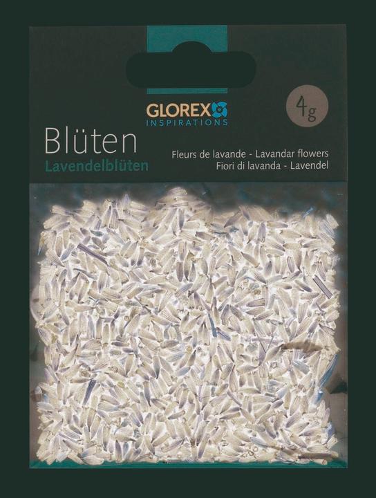 Image du produit Glorex Fleurs