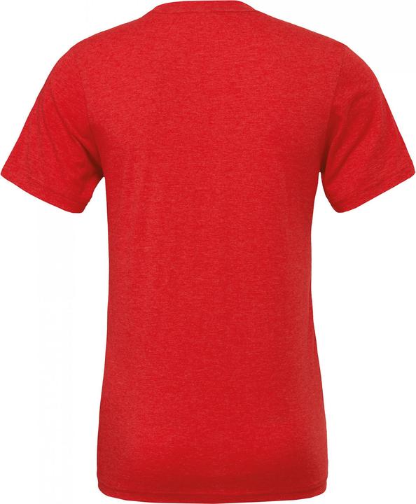 Actual product image Bella Canvas Triblend Tee (M)