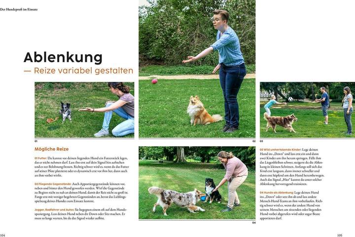 Actual product image Kosmos Hundetraining mit Martin Rütter (German, Andrea Buisman, Martin Rütter, 2022)