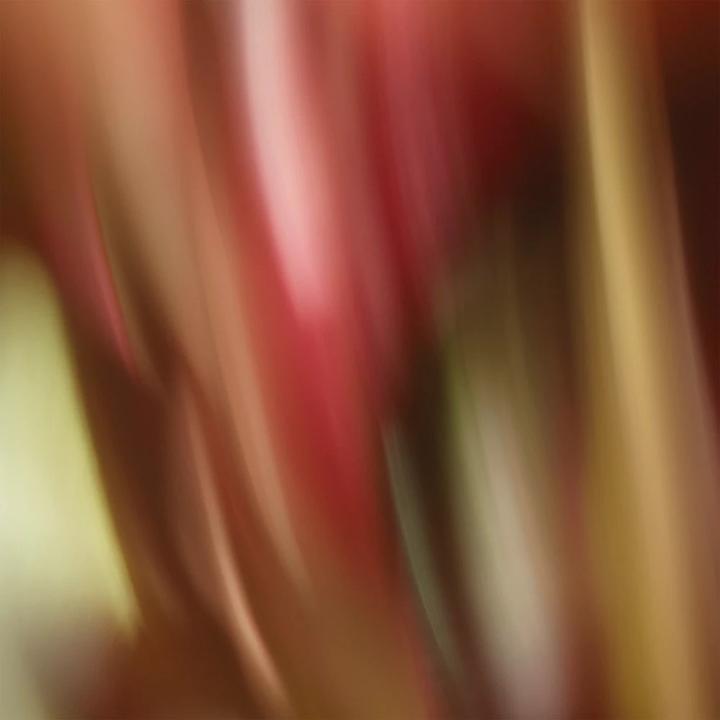 Produktbild Sisley d'Aria Eau de Toilette (Eau de Toilette, 100 ml)