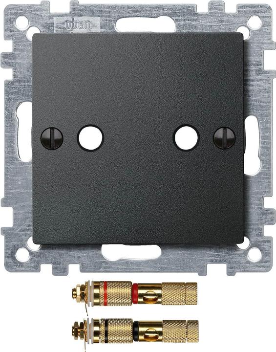 Actual product image Merten Insert LS 2f System M anth mt 469314